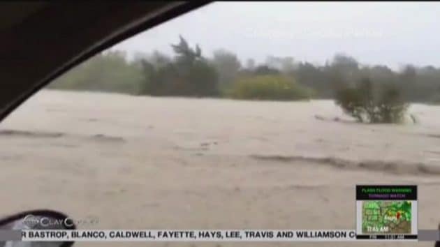 Encore perché dans un arbre pendant des inondations, il se fait interviewer par la télé locale Kerry Packer, inondation, bloqué dans un arbre
