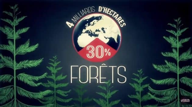 Déforestation: le chant des scies règne (DataGueule) DataGueule, déforestation