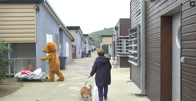 Rémi Gaillard lutte contre l’abandon des animaux Rémi Gaillard, Animal Planet, spa