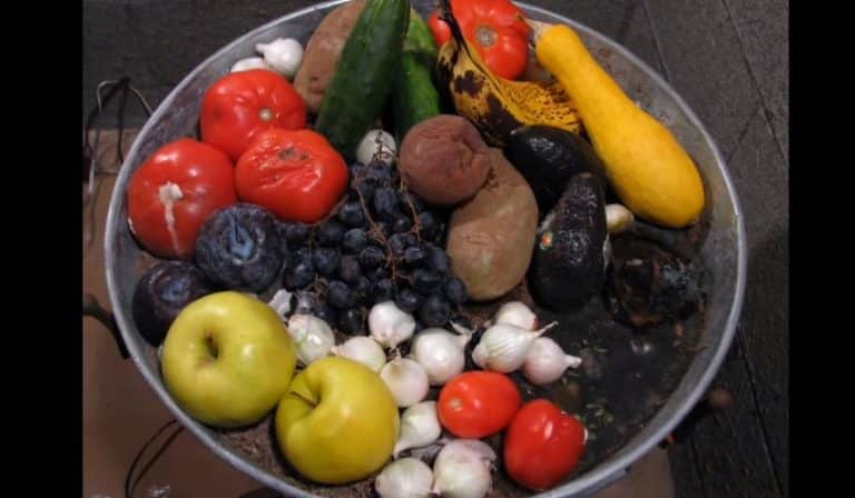 Décomposition de fruits et légumes sur deux mois en time-lapse Fruits et legumes en décomposition