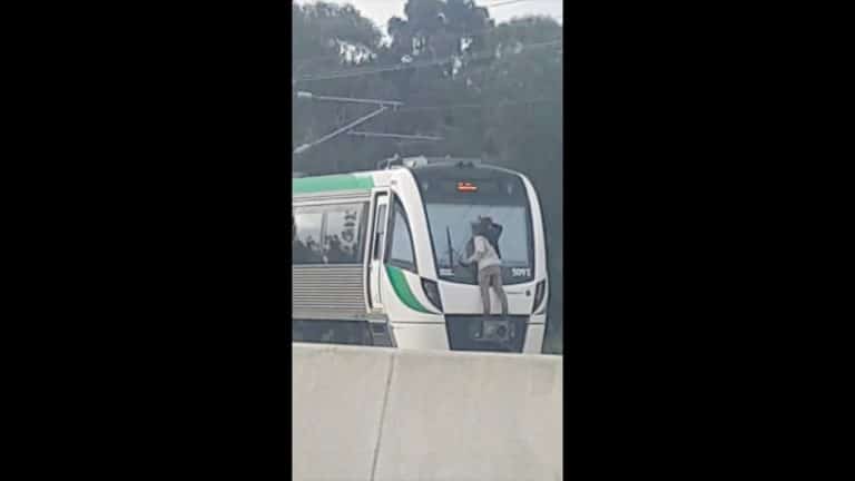 La police l’interpelle pour s’être accroché à un train à 100 km/h