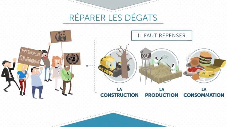 Le déclin de l’écologie ronge le doute