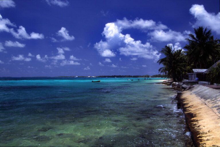 Tuvalu montre aux dirigeants ses coraux morts avant la COP31