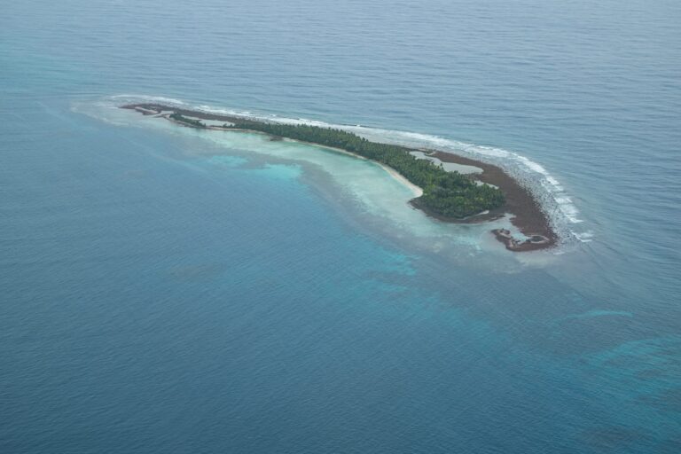Tuvalu montre aux dirigeants ses coraux morts avant la COP31